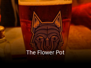 The Flower Pot book online