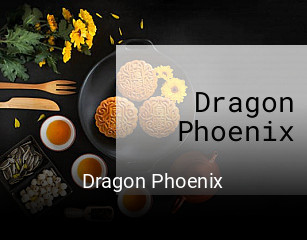 Dragon Phoenix book online
